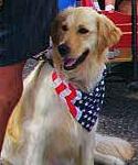 4th of July