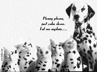 HERE SPOT!