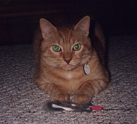 Thomas