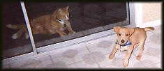 Maggie and Lucky