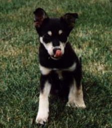 Maxx