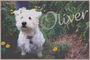 Oliver