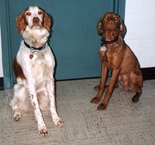 Thai and Rudy