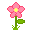 Pink Flower