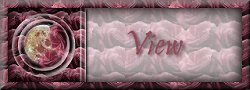 Come see who has visted