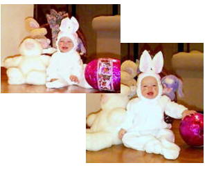 Bunnies
