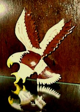 Eagle pic