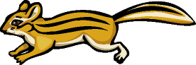 chipmunk