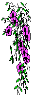 pink
flower cascade