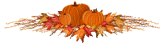 fall-spray2.gif (6970 bytes)