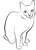 buddy