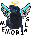PugBaby Memorials