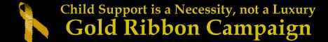 Go visit the Federal Office of Child Support Enforcement Home Page