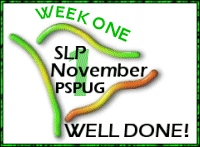 PSP Award1