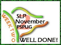 PSP Award2