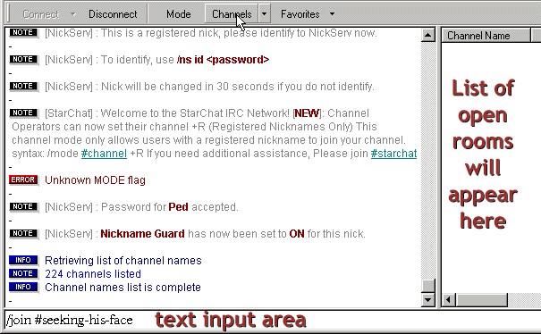Pirch connected server window