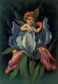 Cherub #1