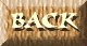 back button