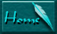 home button