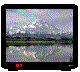 mountaintv.gif (44912 bytes)