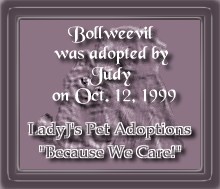 Lady J's Adoption Center