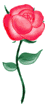 Dancing Rose from Ulead