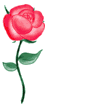 Dancing Rose from Ulead