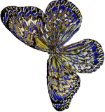 butterfly1.gif