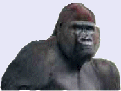 APE