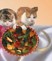 Cats cutout