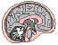 Brain