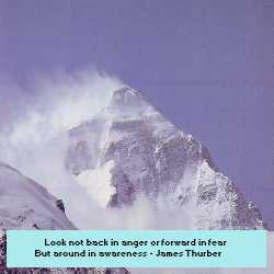 thumbnail of your picture 2