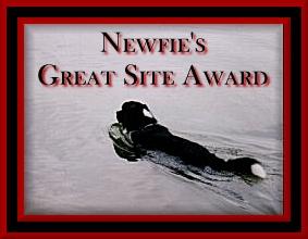 Newfie's Great Site Award