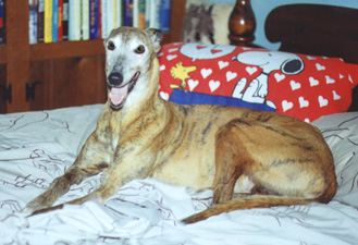 Dream, August 1999
