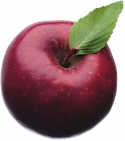 An Apple