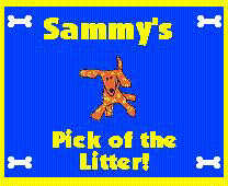 Sammy's Pick of the Litter Award (5/29/97)