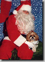 Picture of Piper with Santa. (12/96 9K)