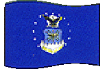 USAF Flag