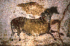 lascaux1