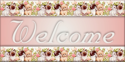 Welcome