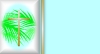 Palm Sunday on Aqua