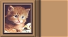 Winston Kitten
