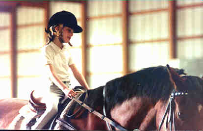 horse3.jpg (11959 bytes)