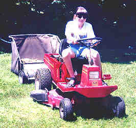 mower.jpg (12293 bytes)