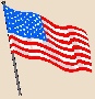 The American Flag
