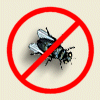 Say No to Flies!
