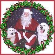 Worf and Kira visit Santa