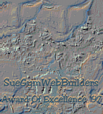 SueGymWebBuilders Award of Excellence