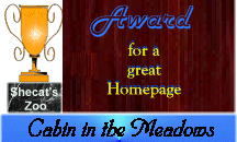 Shecat Zoo Award for a Great Homepage