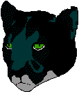 panther